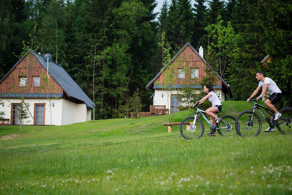 Horská chata B  - Horské chaty Amenity Resort Orlické hory