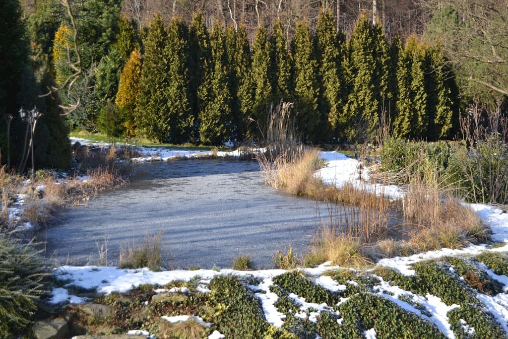 Domek Střítež 484015