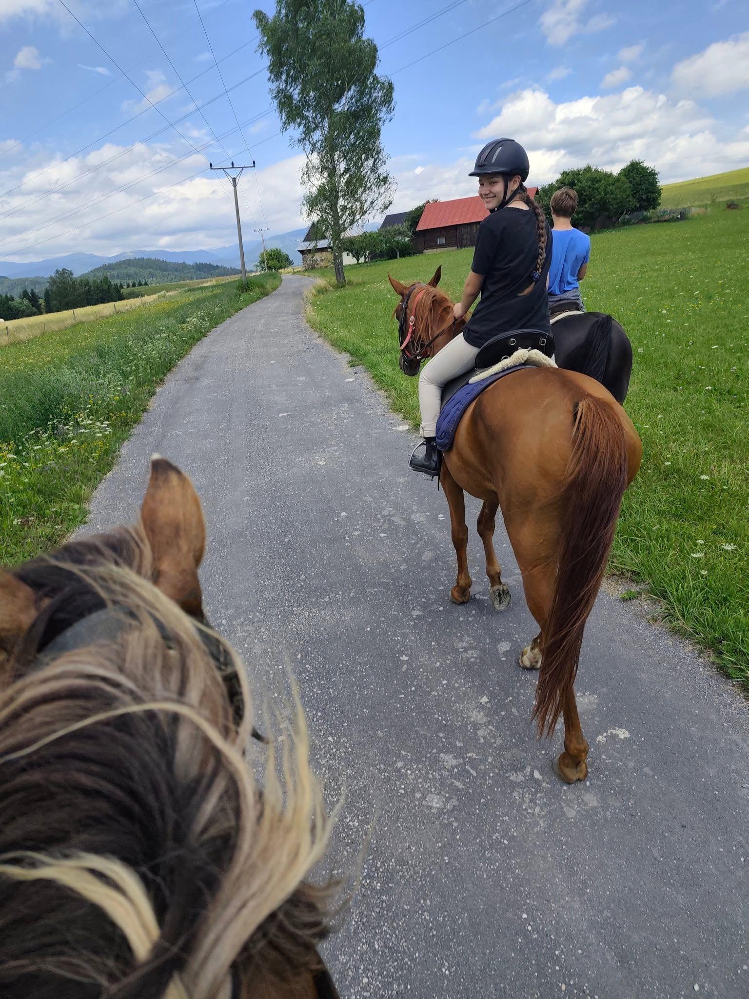 Exteriér - Chalupa Kozí dvor Rohozná
