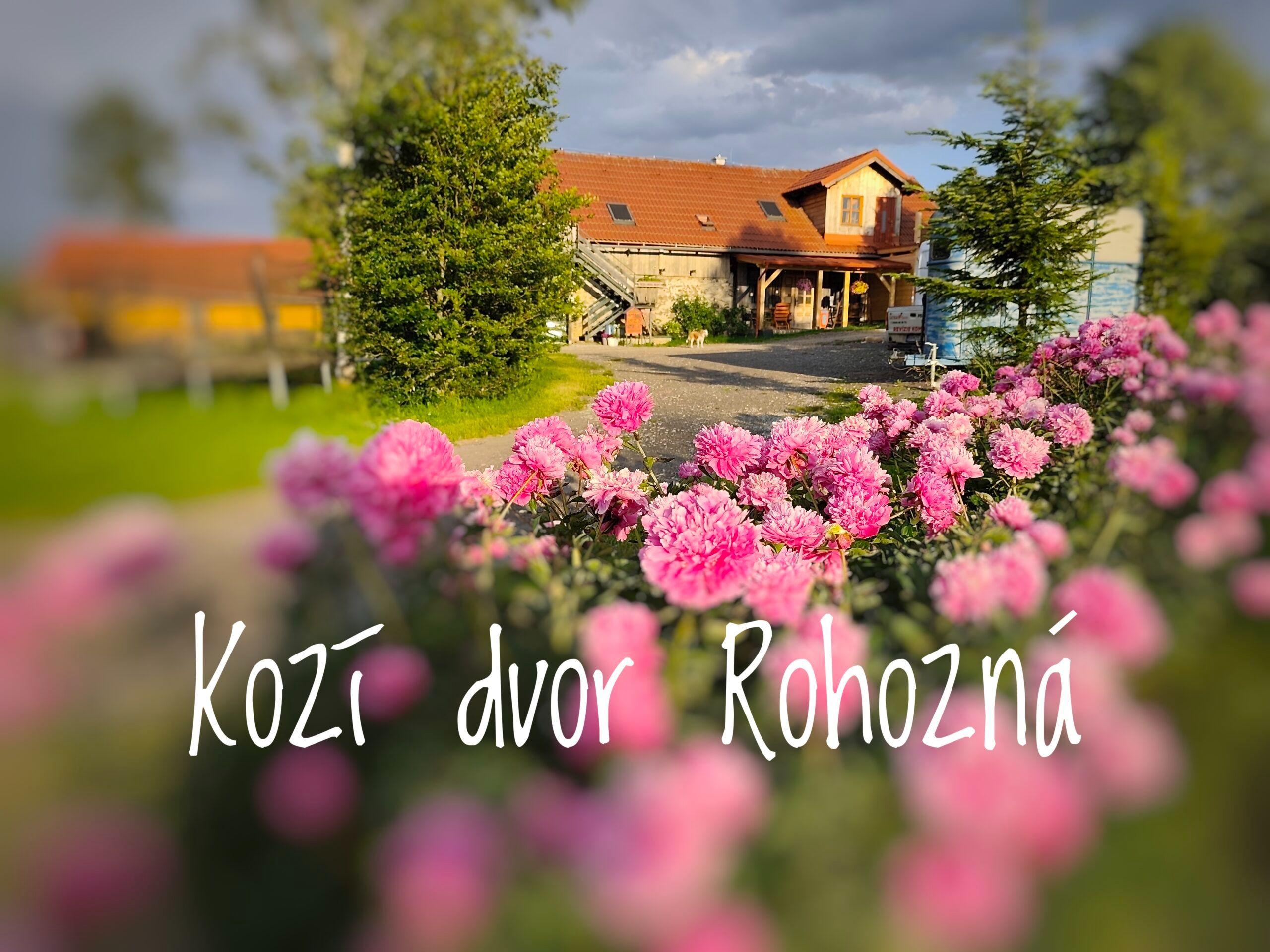 Chalupa Kozí dvor Rohozná