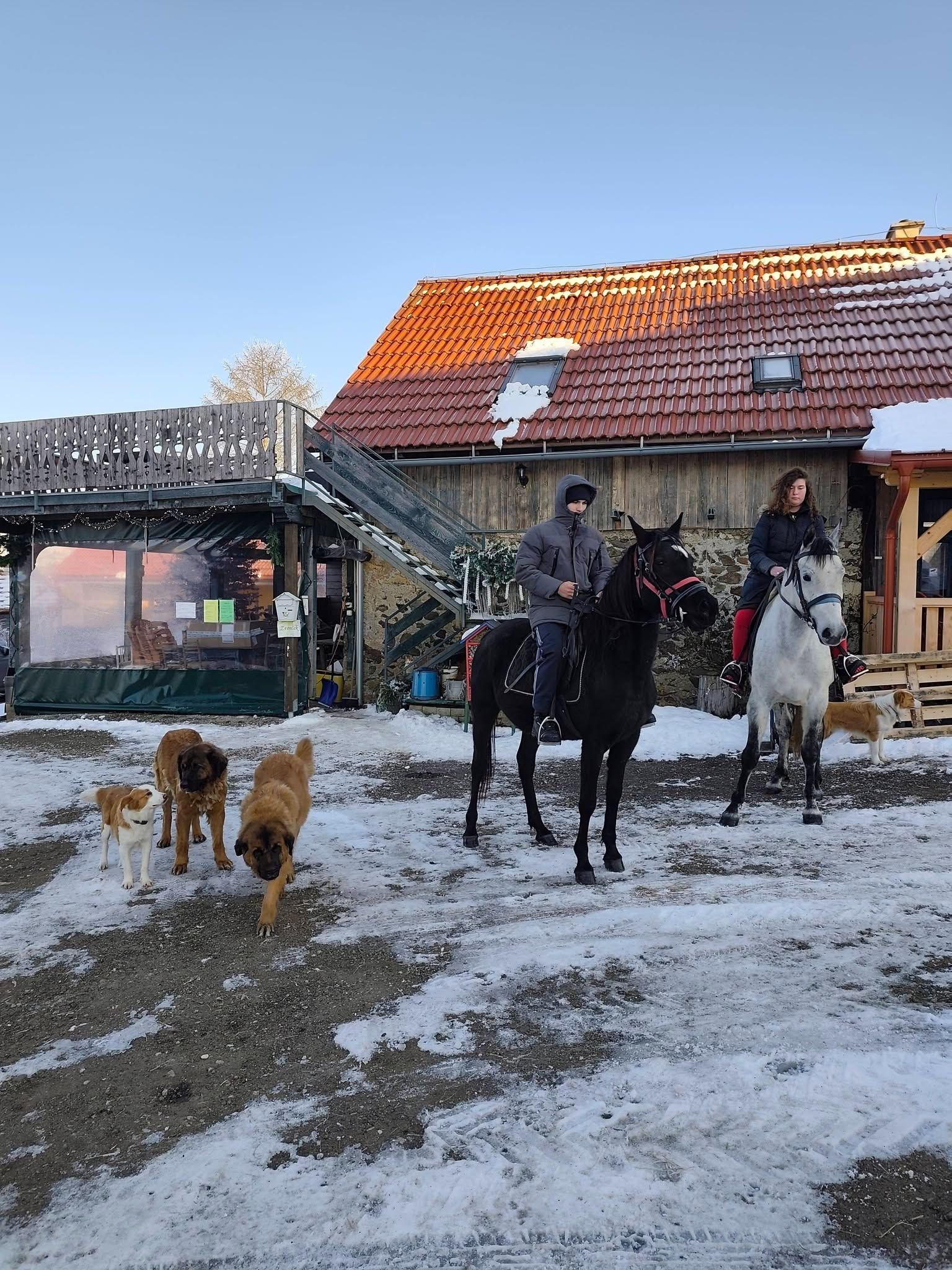 Exteriér - Chalupa Kozí dvor Rohozná