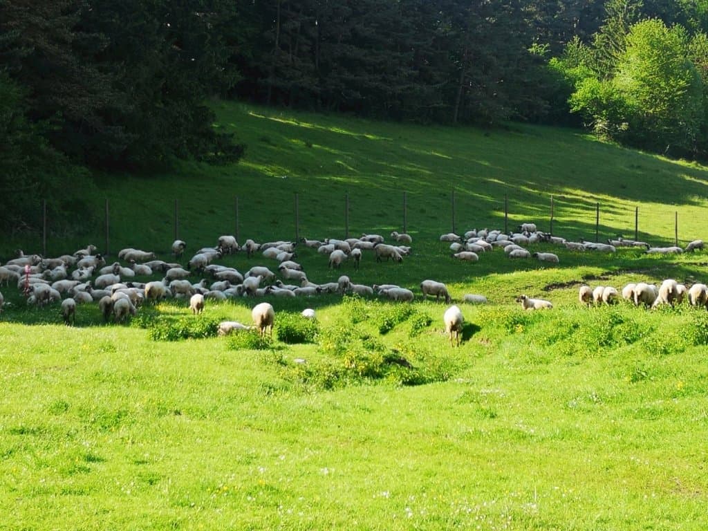 Ferienhaus Panoráma Veľká Fatra 441881