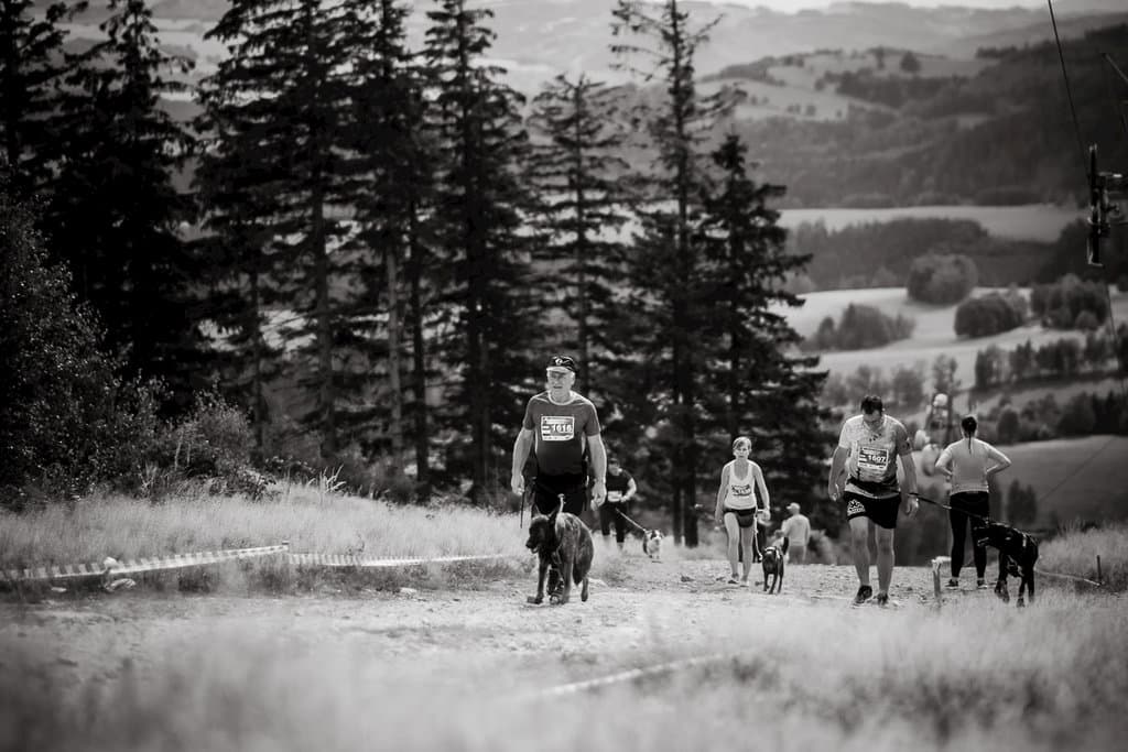 Hard Dog Race - Kraličák (Stříbrnice) - Panzió U školy