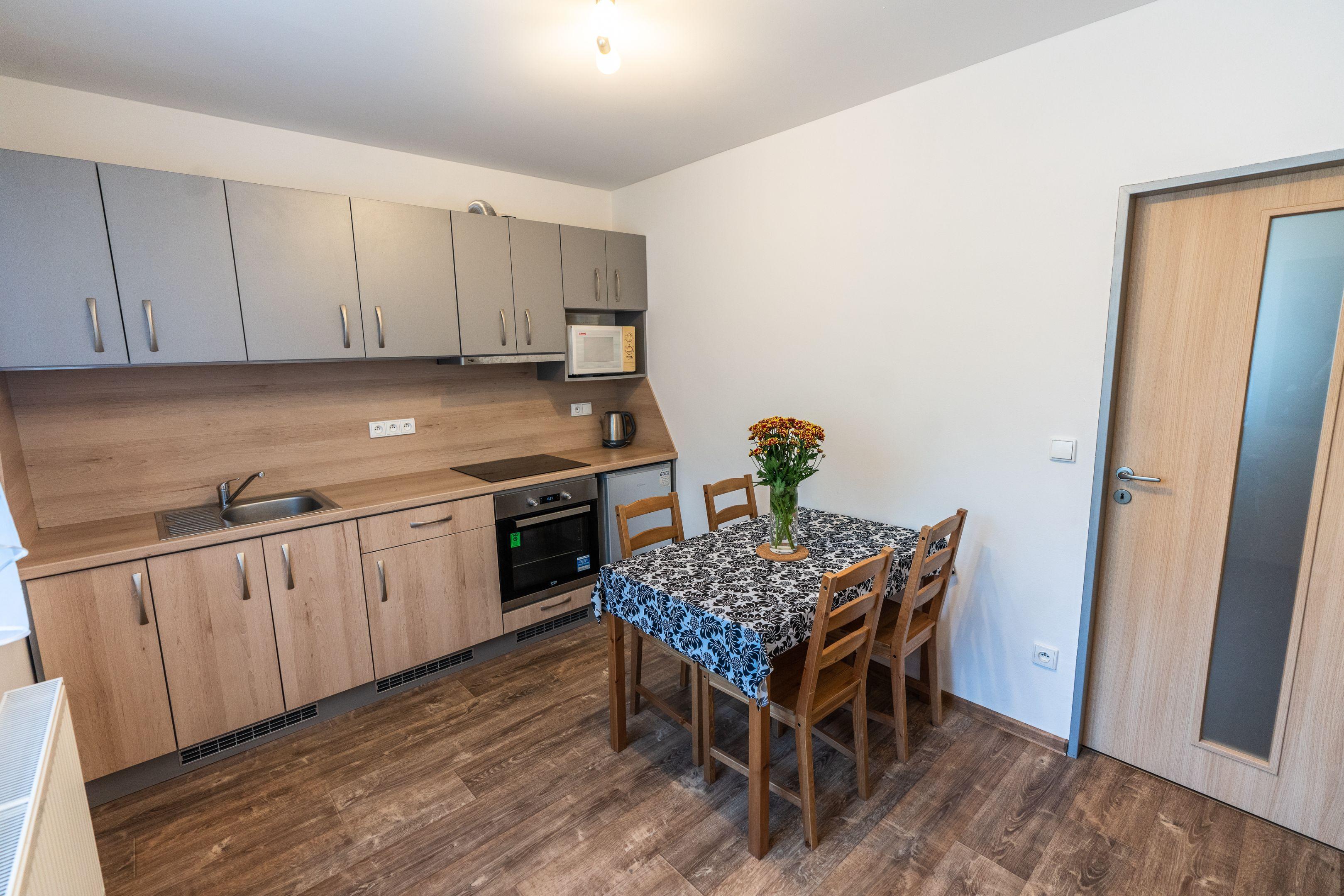 Apartament z 1 sypialnią  - Apartmány Pěkov u Adršpašských skal - Broumovsko
