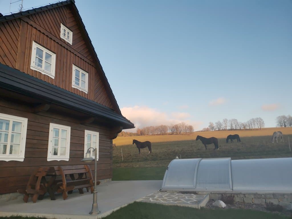 Blockhaus Anita 466121