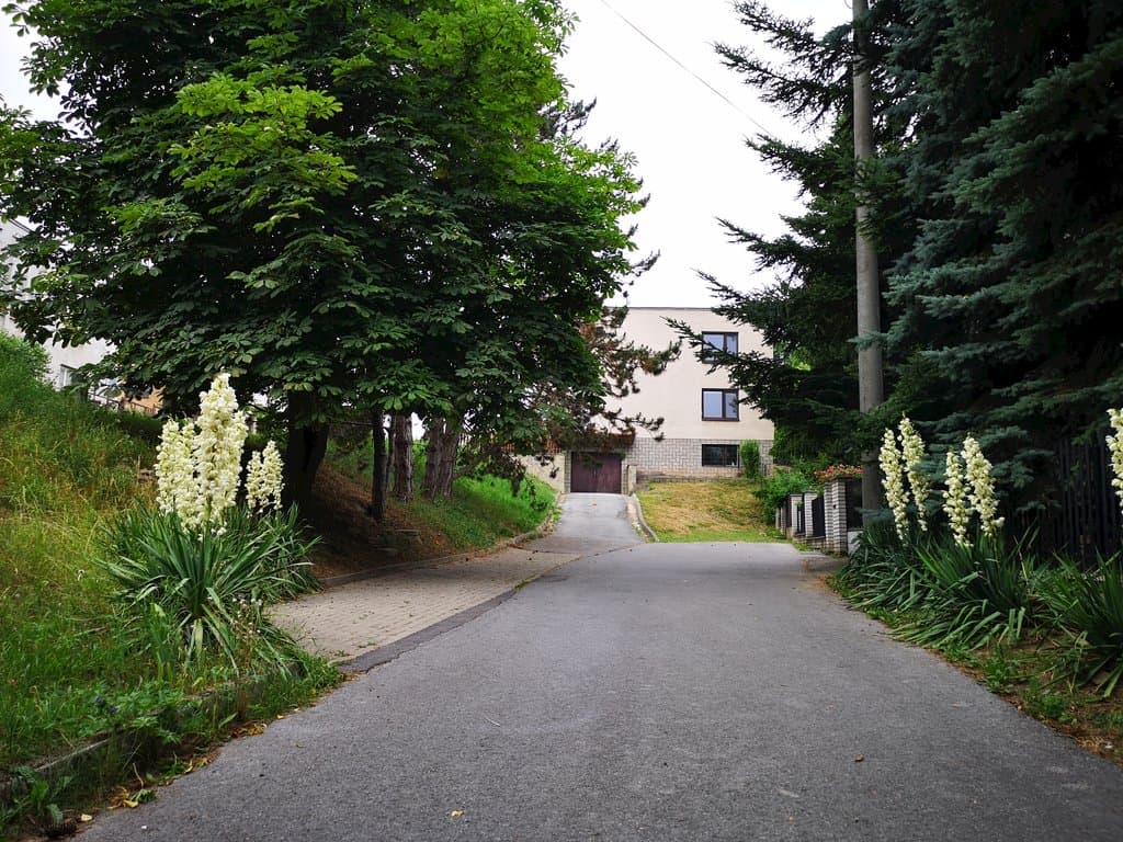Apartmán Kukorelli 469305