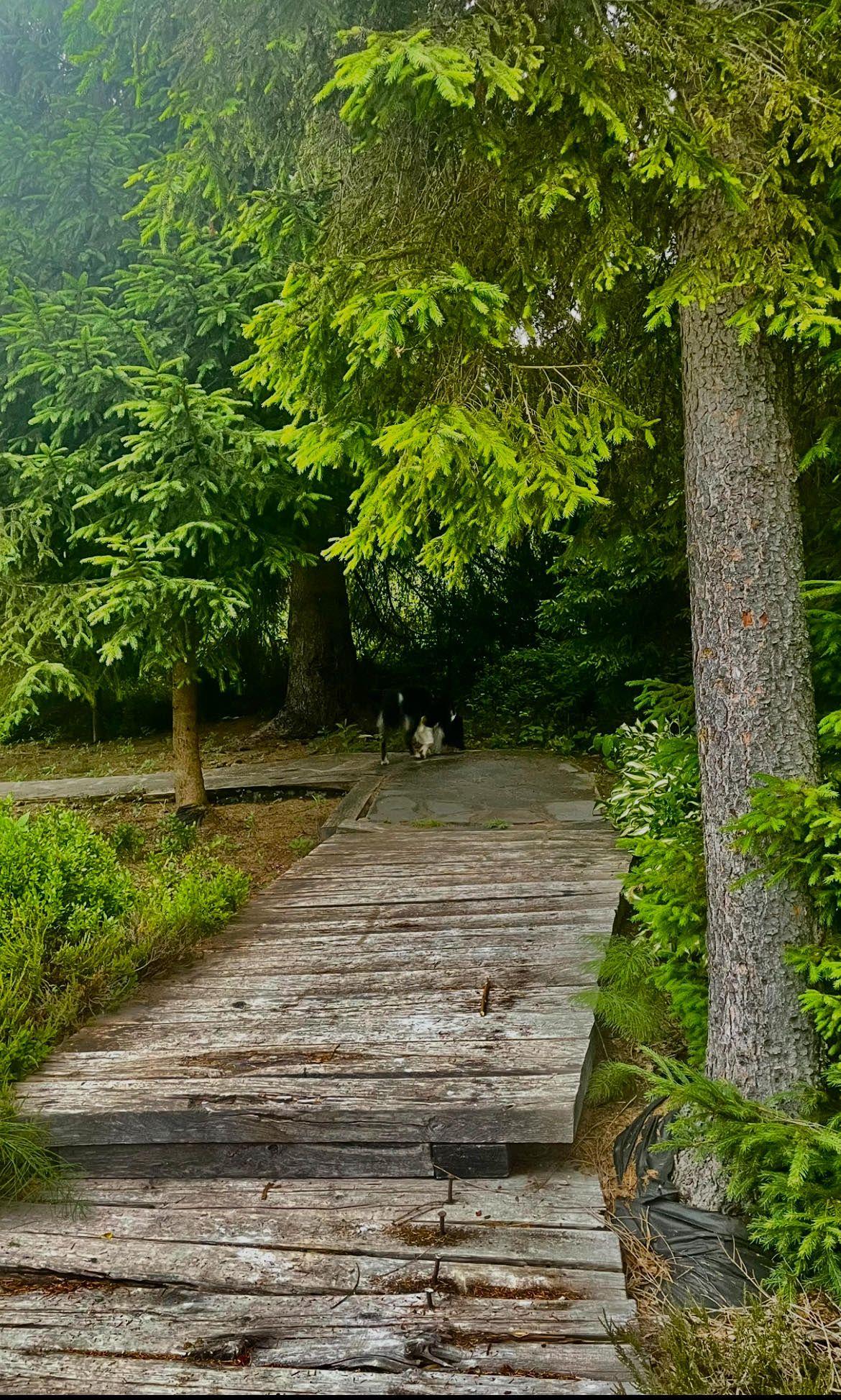 Umgebung - Chalet Landhäuser Gold und Silver
