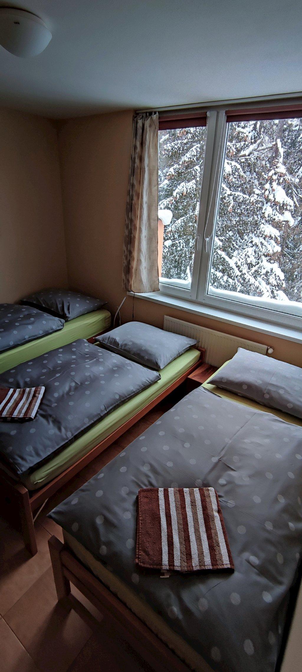 Apartmán s 2 spálňami  - Štrbské Pleso Smrek Penthouse Apartment