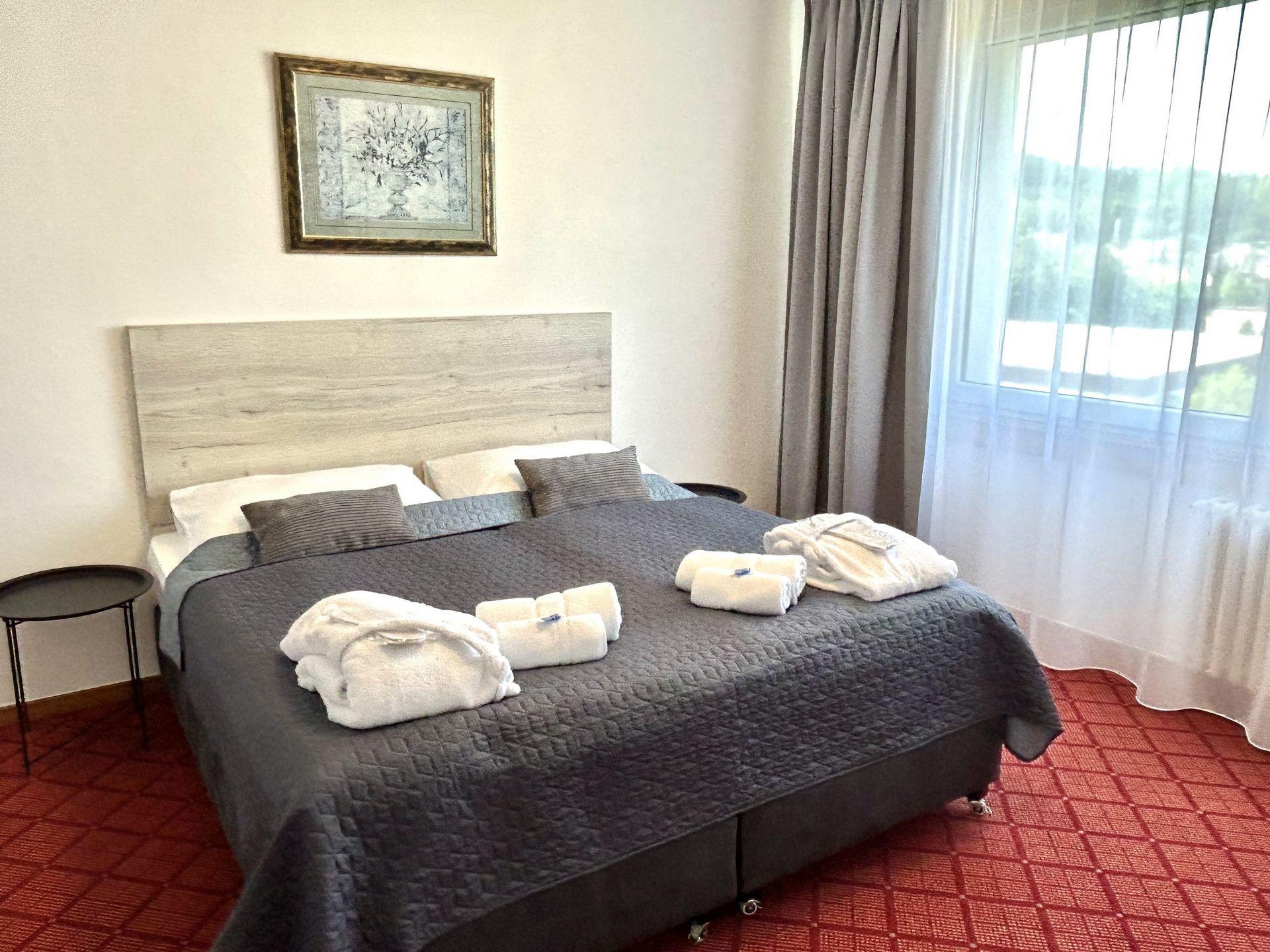 Apartmán s 1 ložnicí  - Hotel Patria