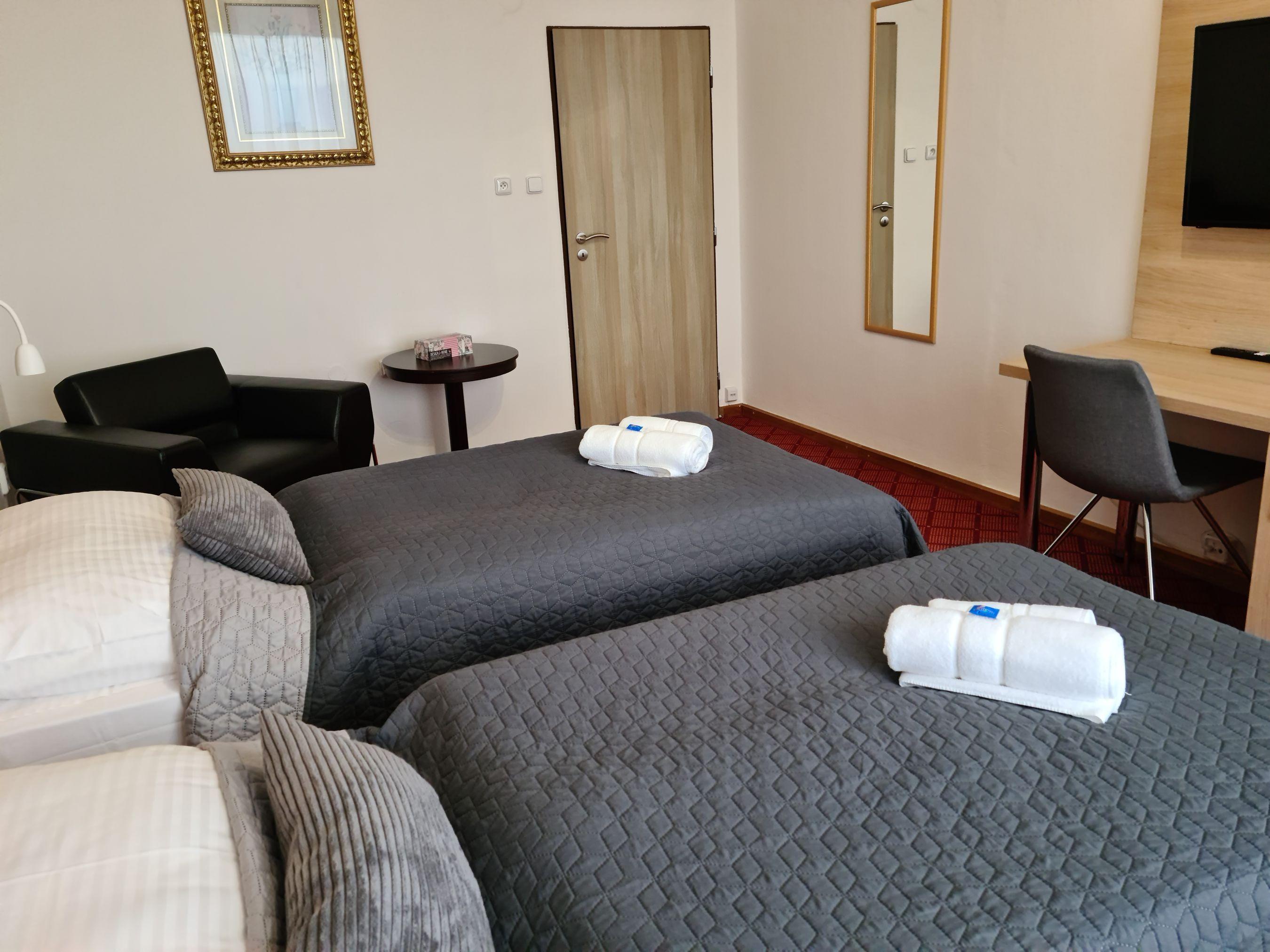 Dvoulůžkový pokoj DELUXE  - Hotel Patria