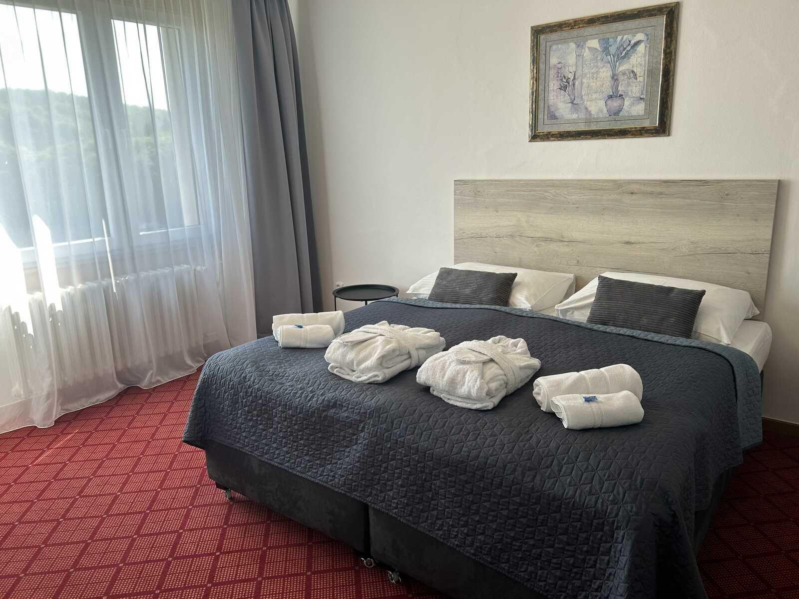 Apartmán s 1 ložnicí DELUXE  - Hotel Patria