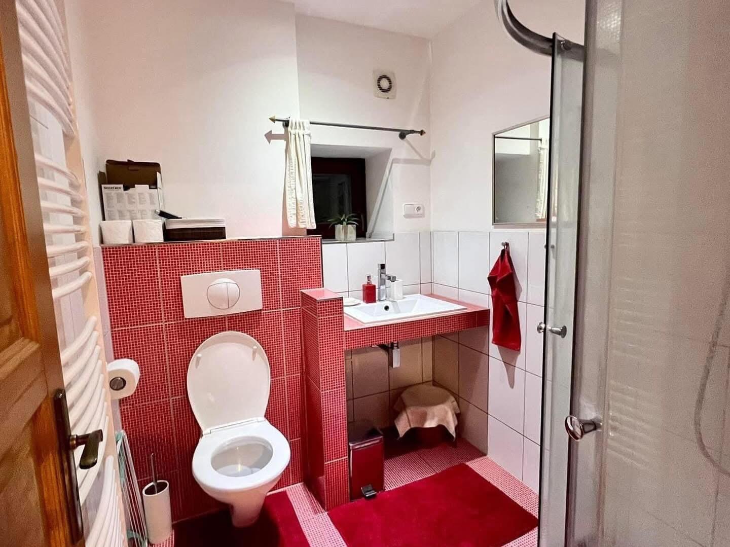 Apartmán č. 1 Apartmán s 1 spálňou - Apartmány Pod Kalousy 