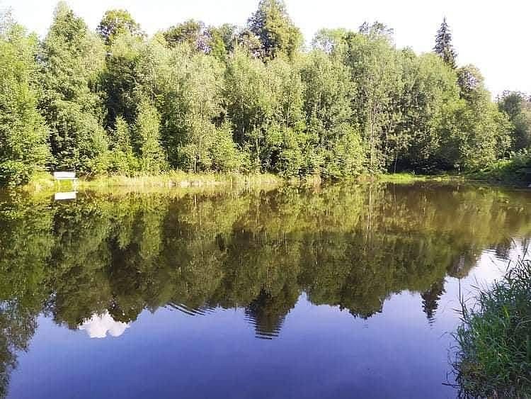 Wellness srub Těšíkov 985415