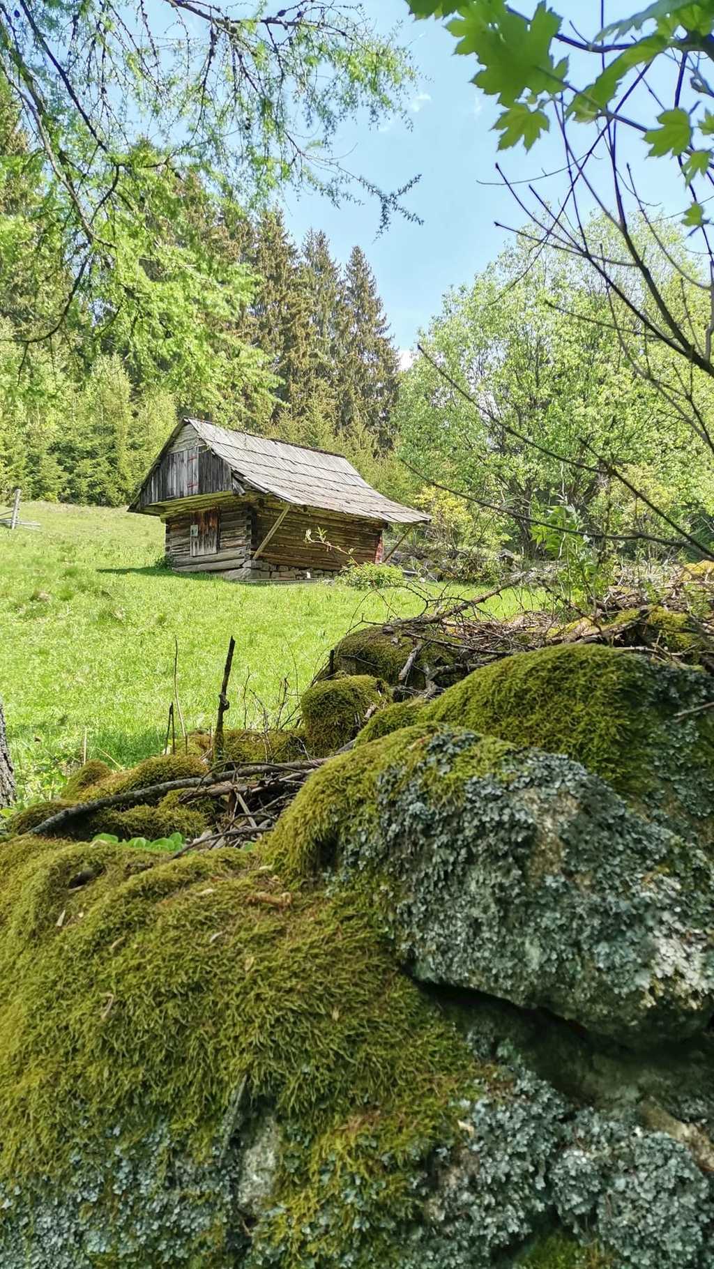 Pripravte sa , že u nás je čo pozerať a spoznávať - Dolinka