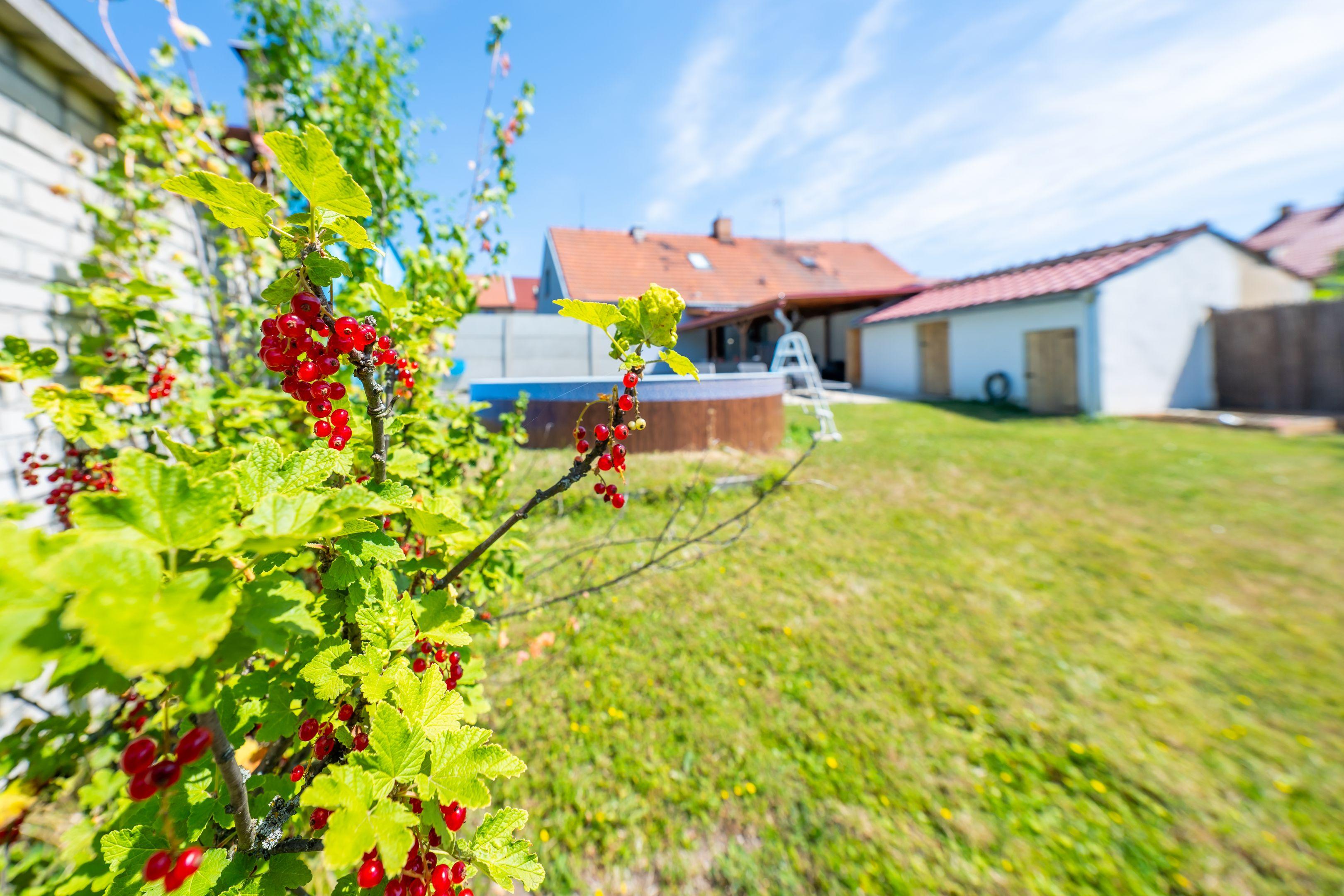 Homestay Mikulov 817640