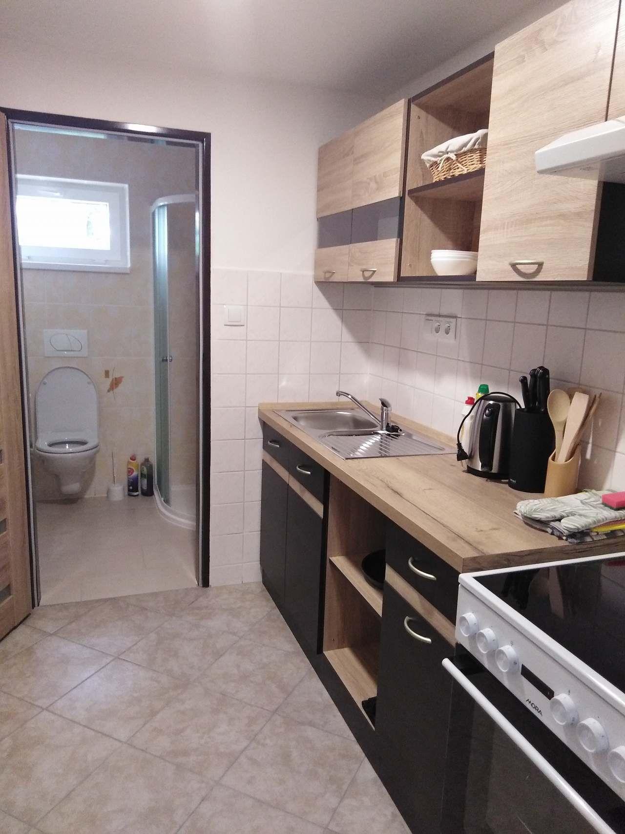 Apartament z 1 sypialnią  - Pensjonat Hracholusky - areál Rozárka