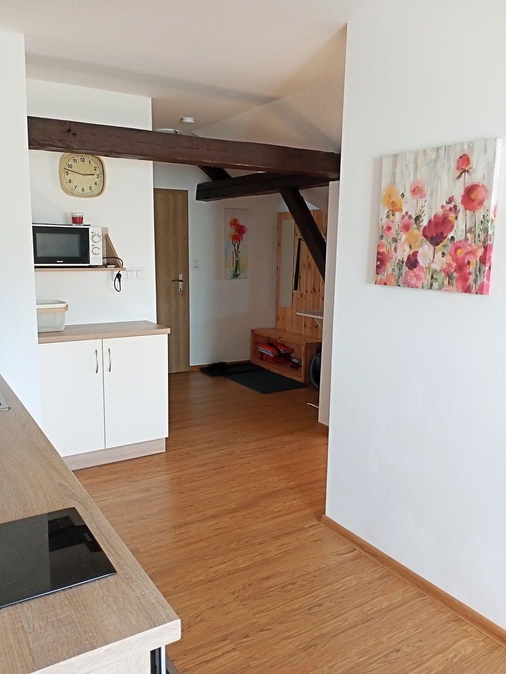 Apartament z 1 sypialnią  - Podkrovní apartmán Ellen