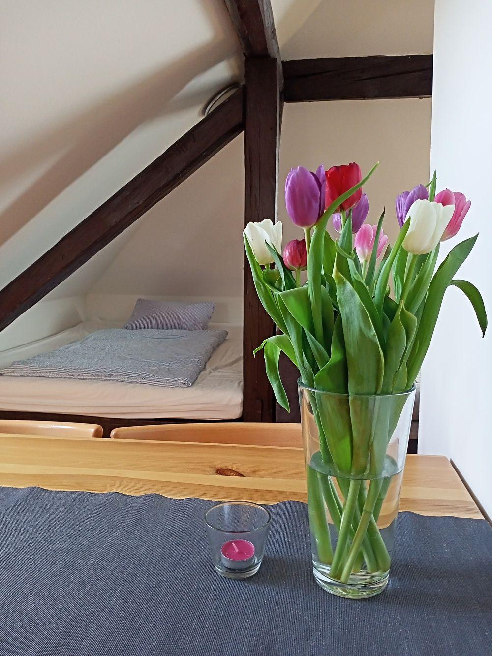 Apartament z 1 sypialnią  - Podkrovní apartmán Ellen