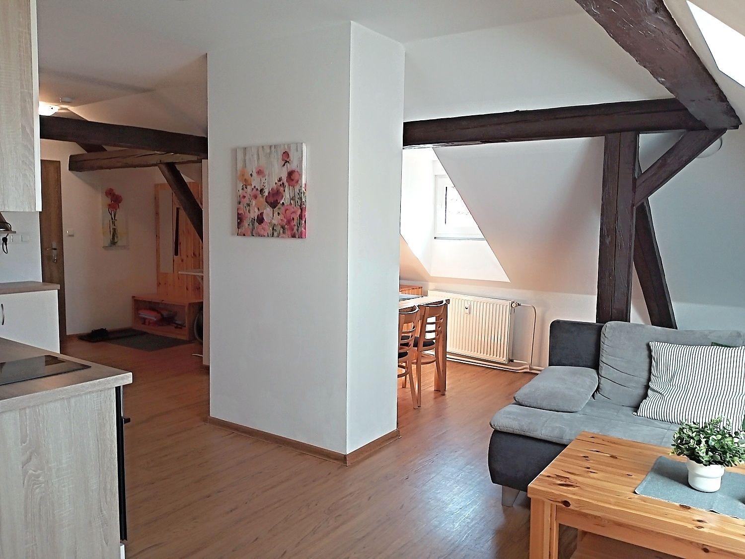 Apartament z 1 sypialnią  - Podkrovní apartmán Ellen