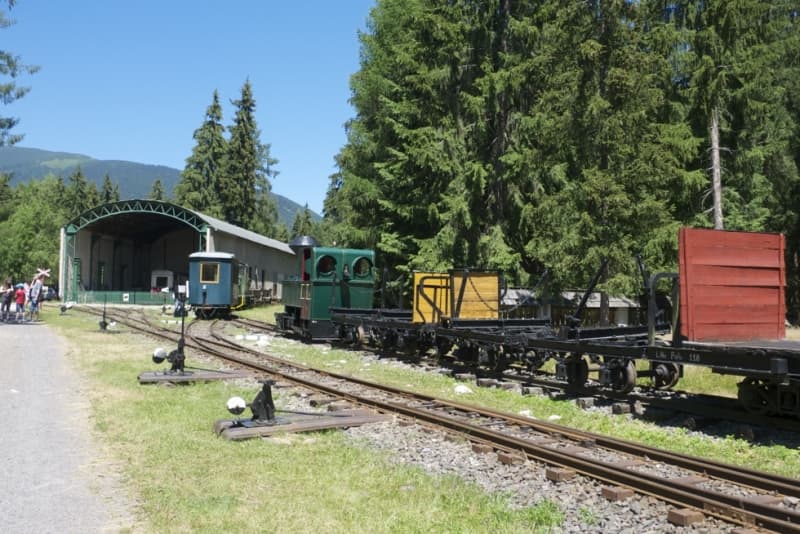 Považská lesná železnica