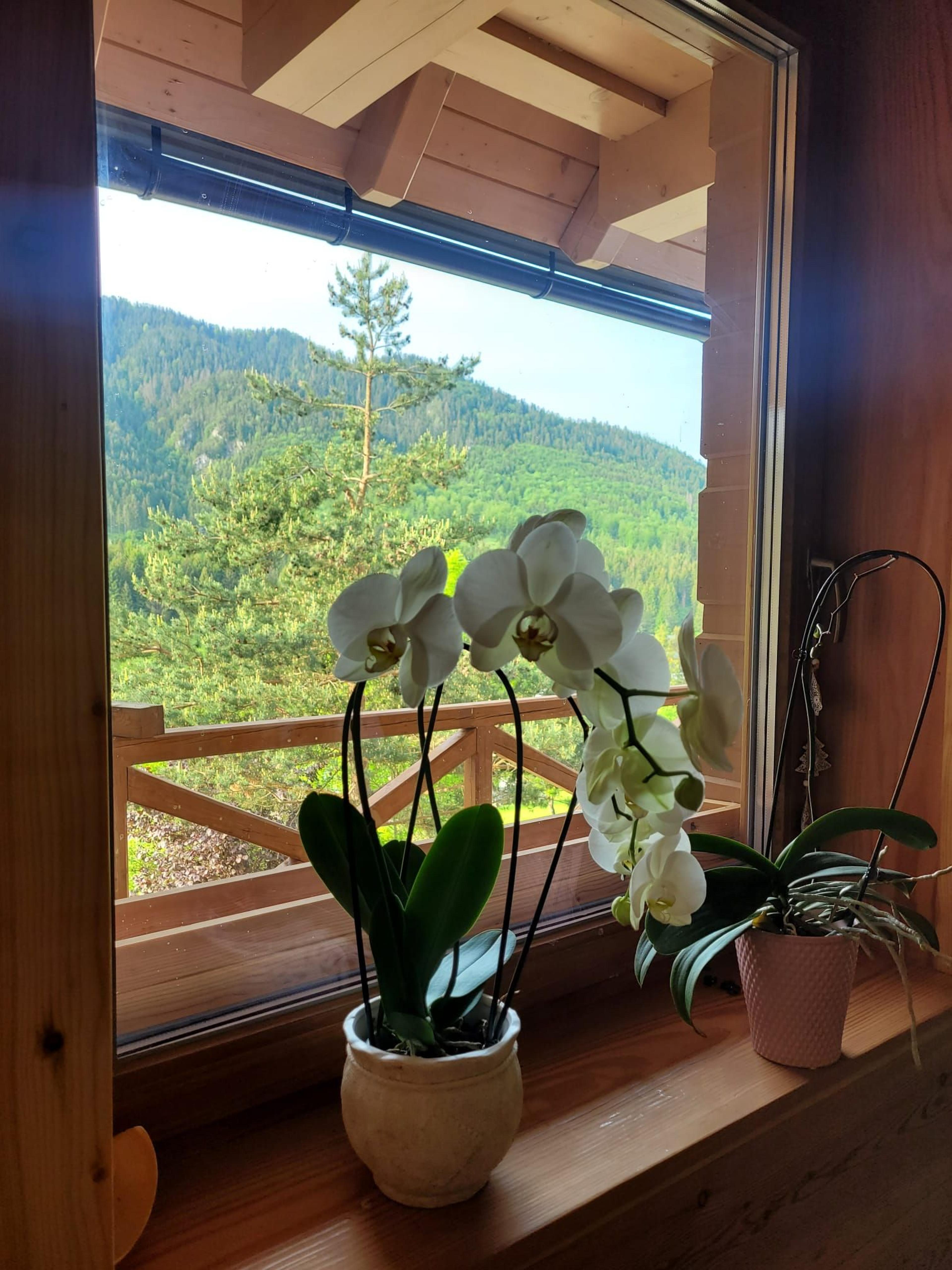 Apartmán Evka Apartmán s 1 spálňou - Chata Drevárka