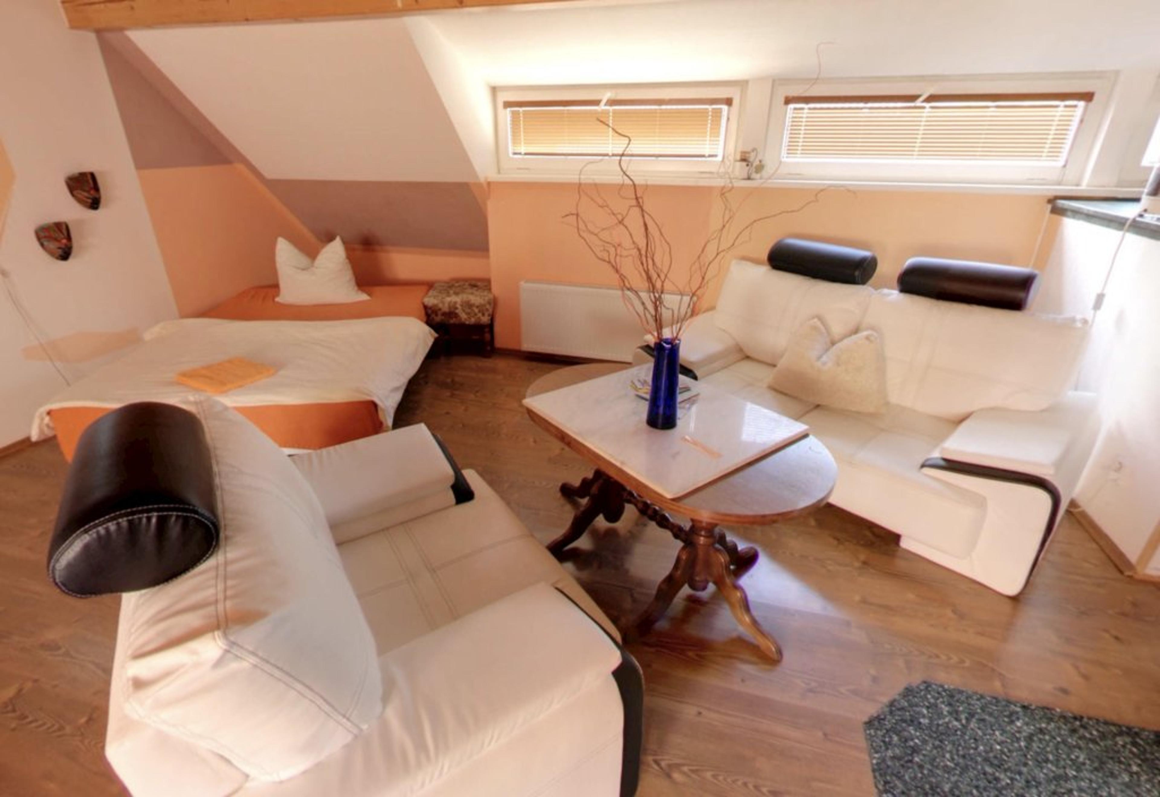 Apartmán s 1 ložnicí  - SONA pension