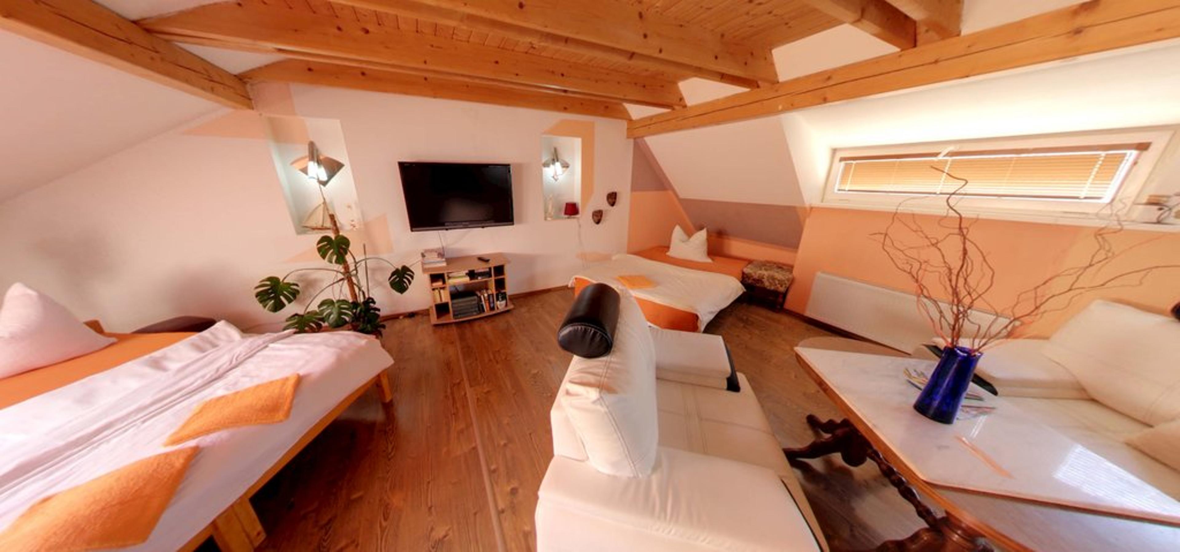 Apartmán s 1 ložnicí  - SONA pension