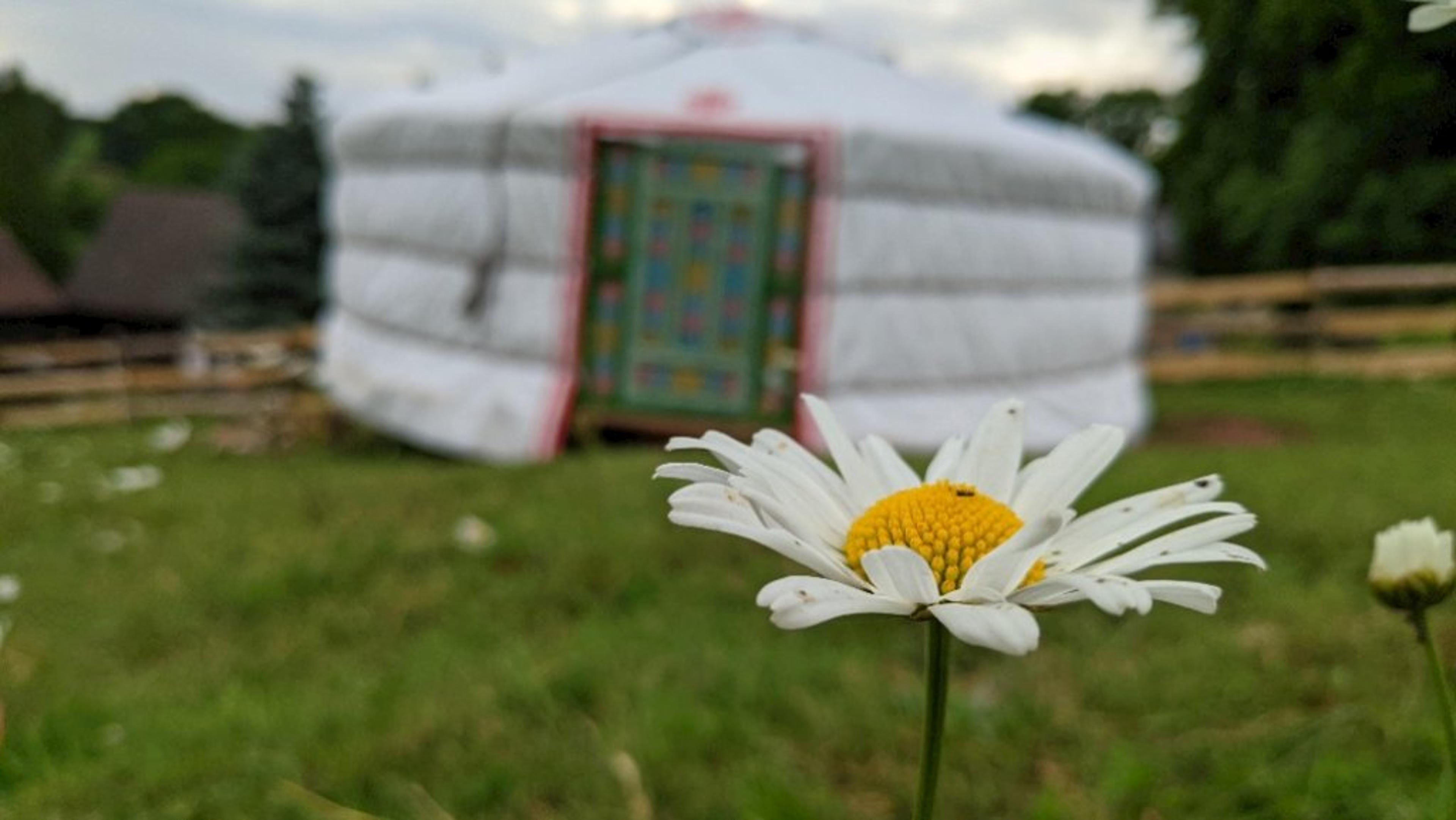 Jurta Čtyřlůžkový pokoj s 4 přistýlkami - Ubytování na rodinné farmě - Pension Hermína