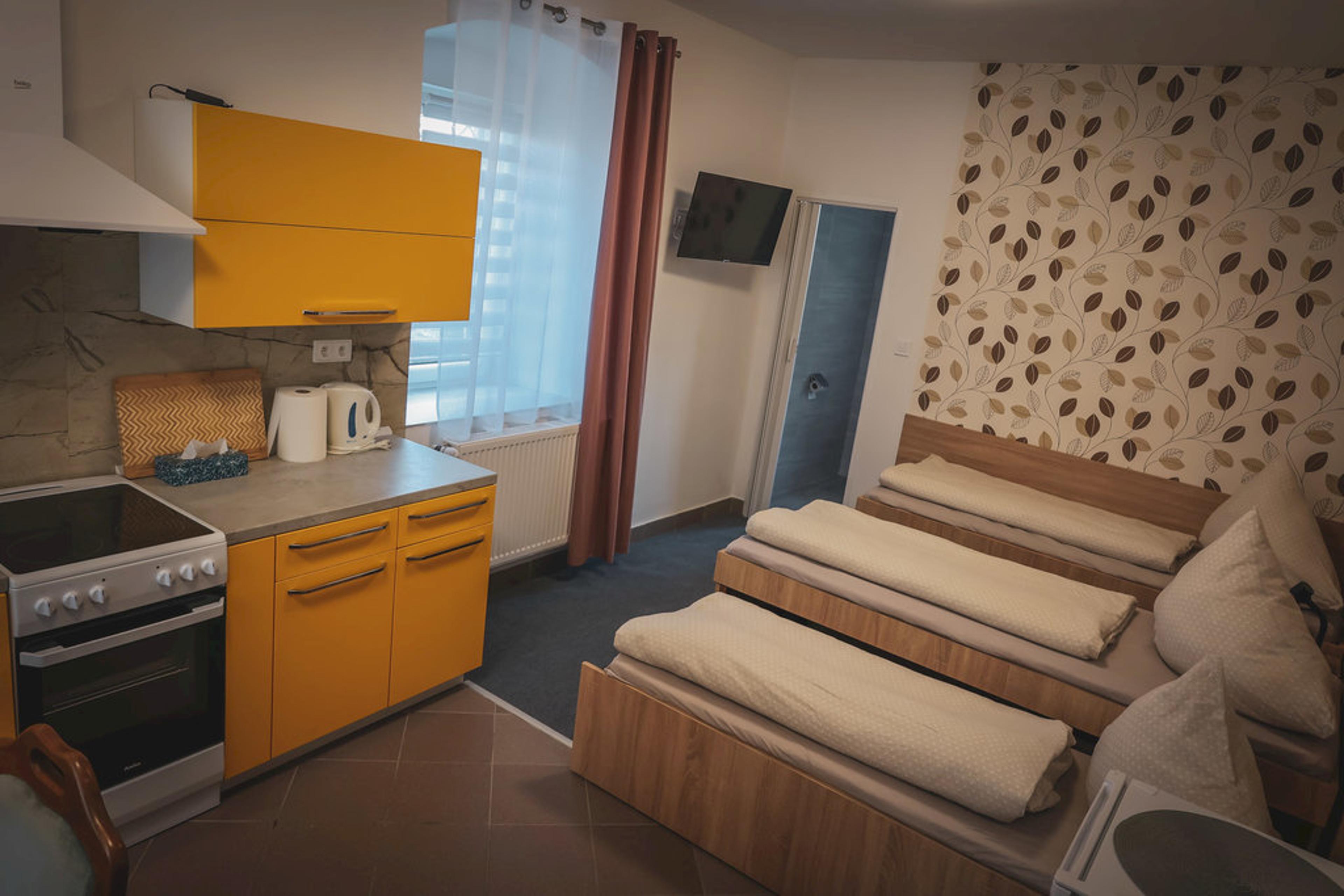 Apartmán č. 9 Apartmán s 1 ložnicí - Apartment Faraon