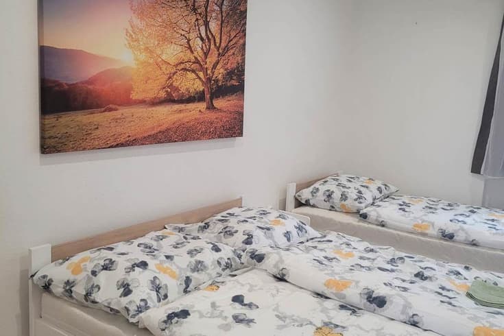Apartmány Zelený dom v zimě