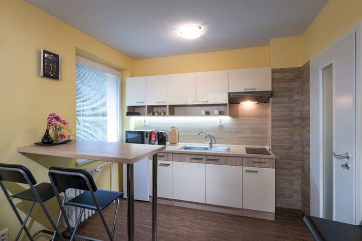 Apartament z 1 sypialnią - Apartament Jasná 96-III