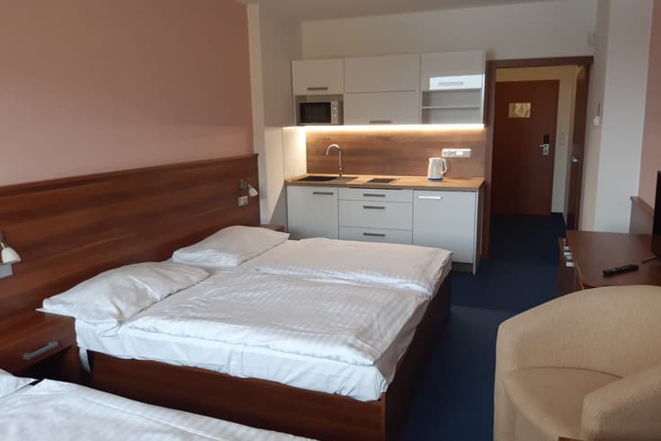 Soukromý apartmán Wellness hotel Frymburk v zimě