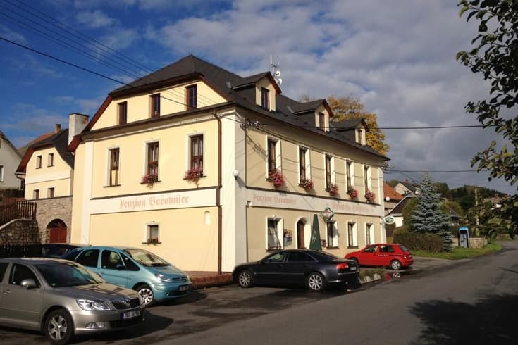 Chaty a chalupy Borovnice (okres Žďár nad Sázavou)