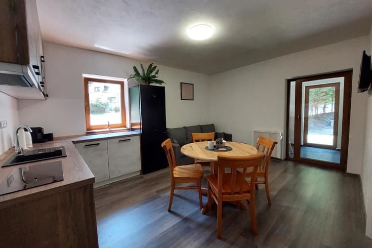 Apartmán s terasou Apartmán s 2 ložnicemi - Rezidence GreenHill