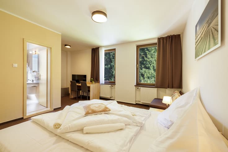 Dvojlôžková izba s prístelkou  - Lopušná dolina Resort