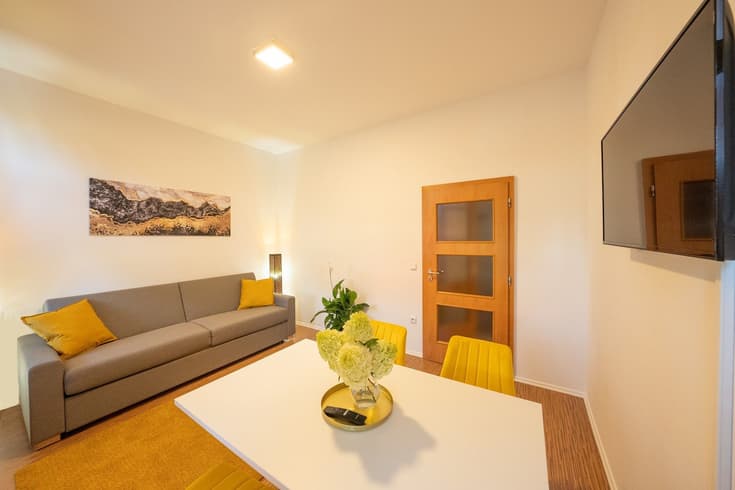 Apartment 1 bedroom  - Wellness hotel Národní dům Podbořany