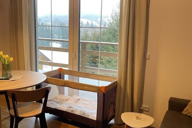 Apartment 1 bedroom  - Apartmány a chaloupka U Lišáků