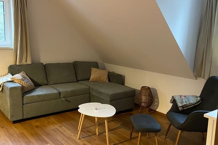 Apartment 1 bedroom  - Apartmány a chaloupka U Lišáků
