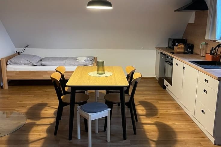 Apartment 1 bedroom  - Apartmány a chaloupka U Lišáků