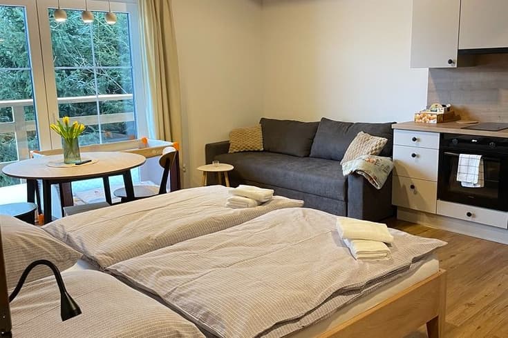 Apartment 1 bedroom  - Apartmány a chaloupka U Lišáků