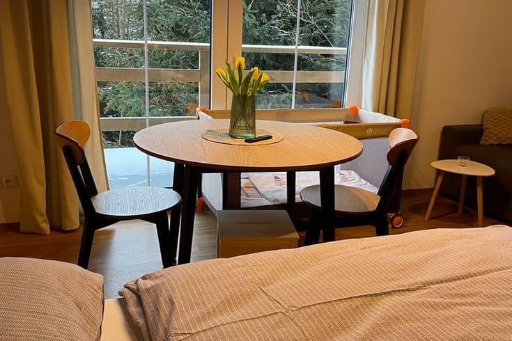 Apartment 1 bedroom  - Apartmány a chaloupka U Lišáků