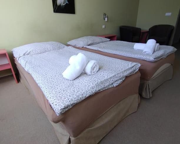 Dvoulůžkový pokoj standart s oddělenými postelemi  - Hotel Belaria Resort