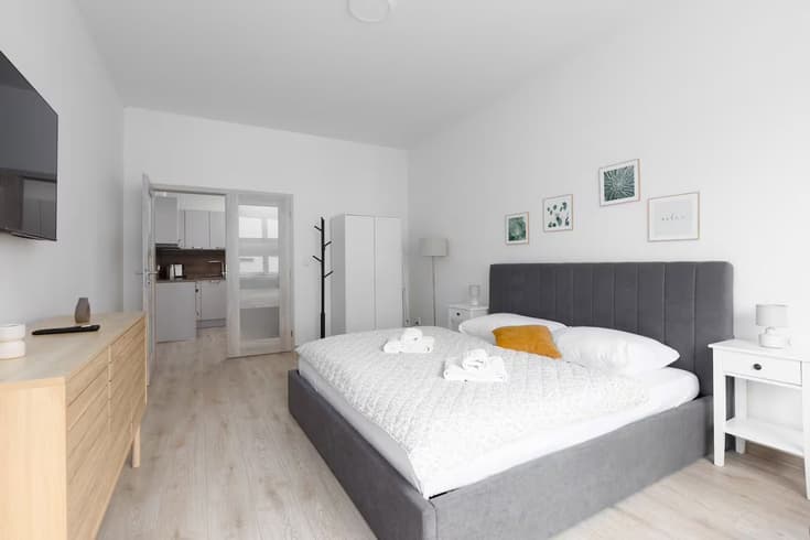 Apartmán 3 Apartmán s 2 ložnicemi - Apartmány Batelovská