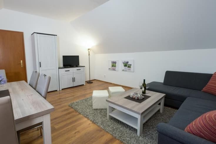 Dvoupokojový apartmán Apartmán s 1 ložnicí - Apartmány Divoký Anděl