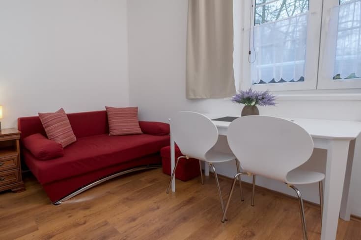 Dvoulůžkový apartmán s rozkládacím gaučem Apartmán s 1 ložnicí - Apartmány Divoký Anděl