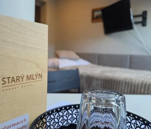 Jednolůžkový pokoj Economy  - Hotel Starý mlýn