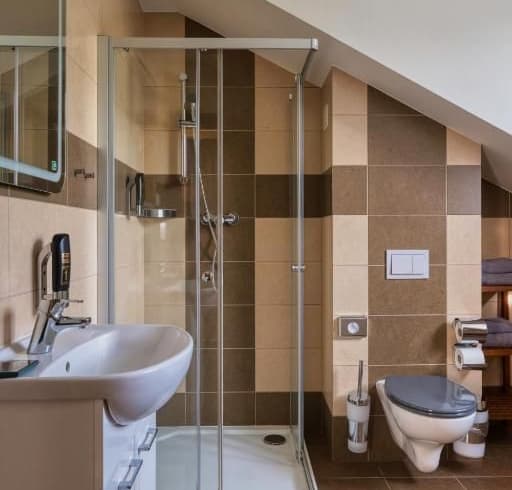 Jednolůžkový pokoj  - Hotel Starý mlýn