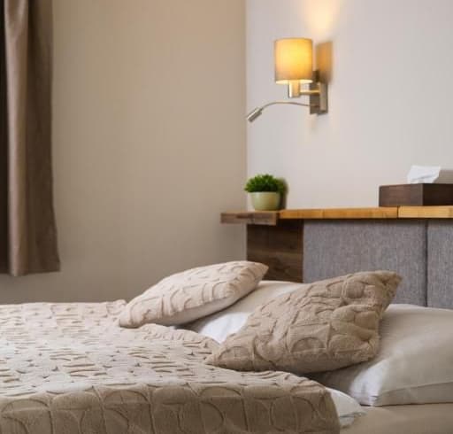 Dvoulůžkový pokoj Economy  - Hotel Starý mlýn