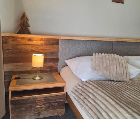 Dvoulůžkový pokoj Economy  - Hotel Starý mlýn