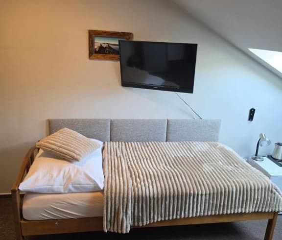 Jednolůžkový pokoj Economy  - Hotel Starý mlýn